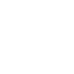 Restoration Specialists