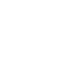 Vehicle Recovery